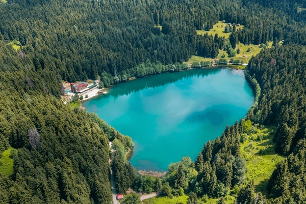 Artvin